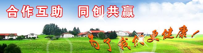 �ӱ�����ҽ����е���޹�˾