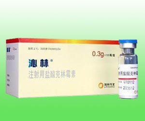 ����¡��ͷ������ƣ�����